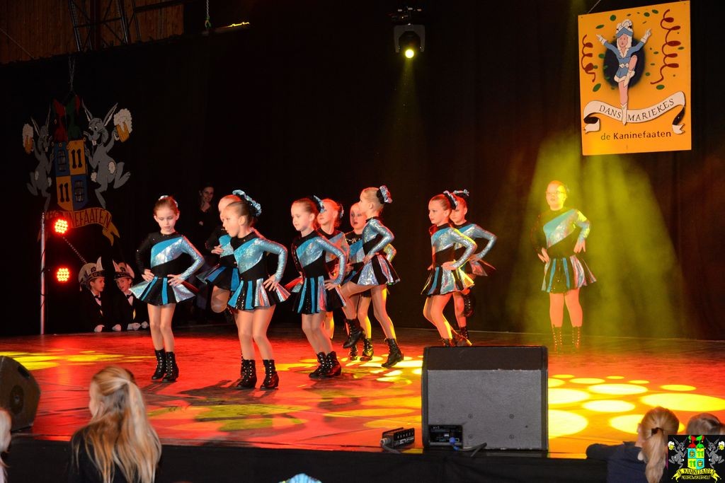 ../Images/Dansmarieke festival 2018 061.jpg